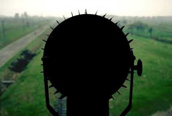 BlackFlower_WEB.jpg (12108 octets)