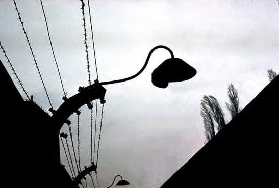 FenceLamp_WEB.jpg (15498 octets)