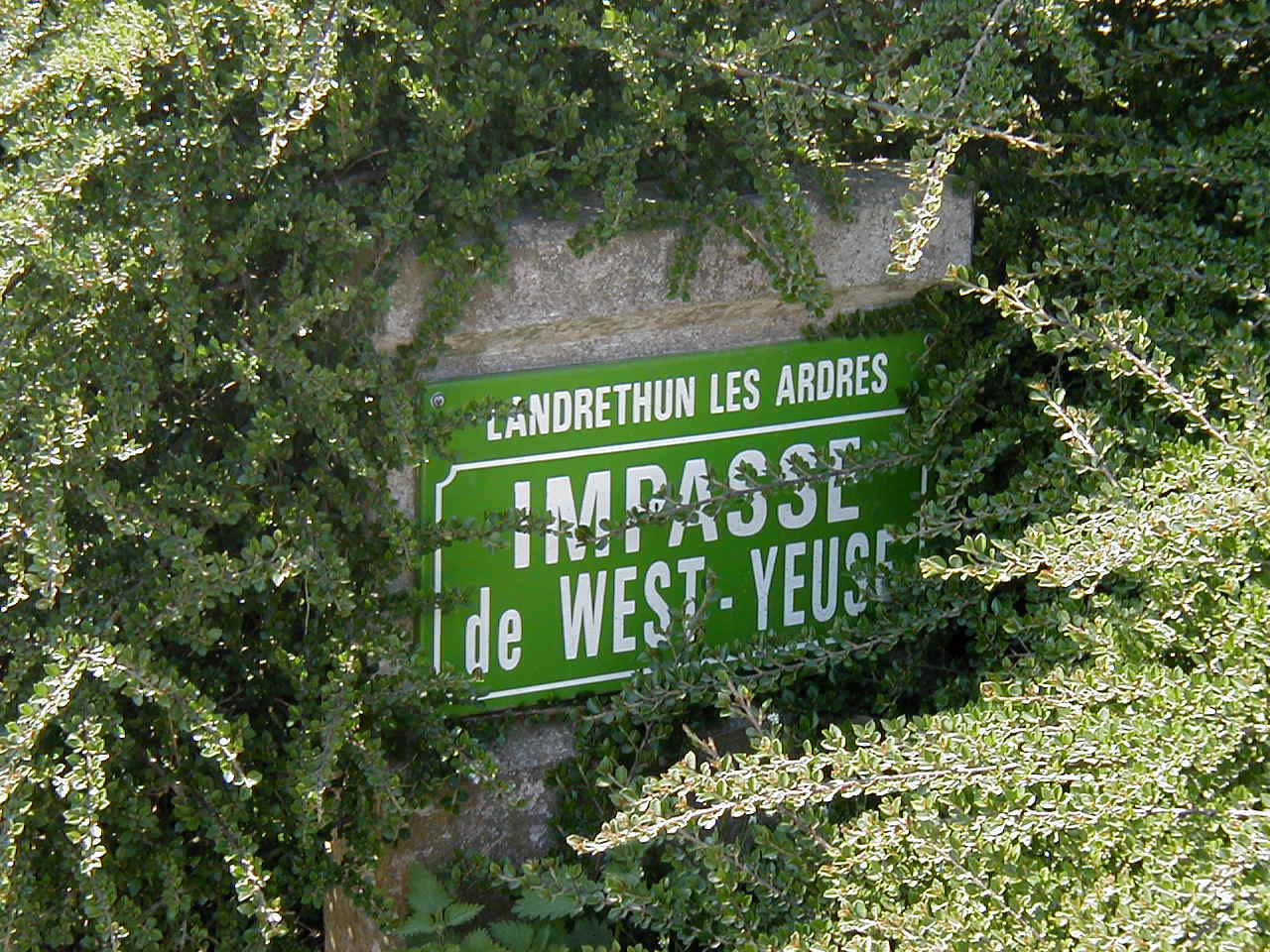 ImpWYeuse.jpg (214446 octets)