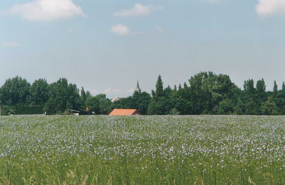 Le village.jpg (59015 octets)