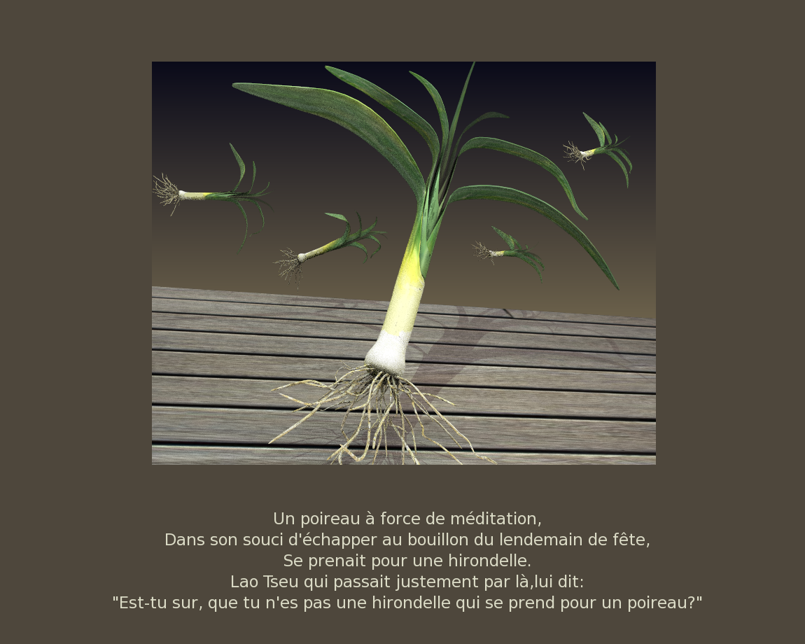 poireau3.png (455151 octets)